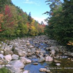 East Branch of the Saco, Intervale, NH